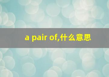 a pair of,什么意思